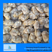 high quality vacuum packed short necked clam